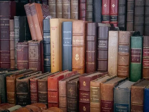 beaux vieux livres